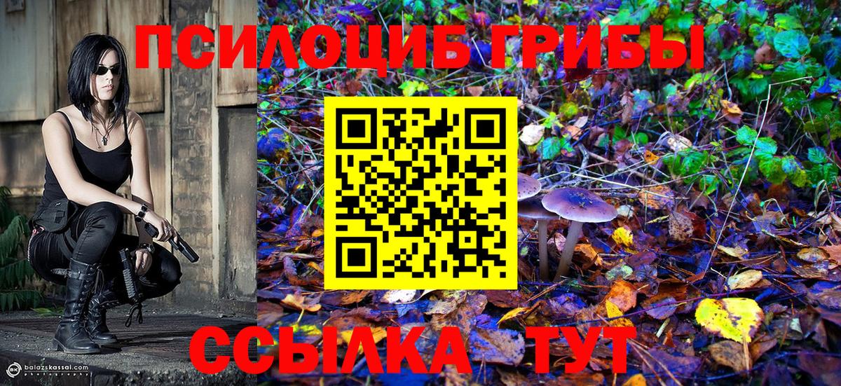Псилоцибиновые грибы GOLDEN TEACHER Оренбург